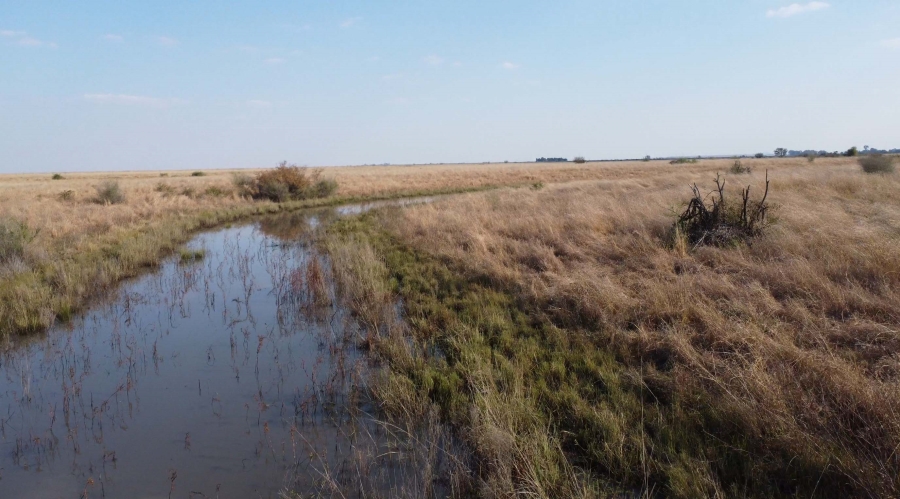 0 Bedroom Property for Sale in Koppies Rural Free State